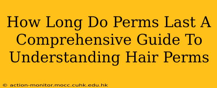 How Long Do Perms Last A Comprehensive Guide To Understanding Hair Perms