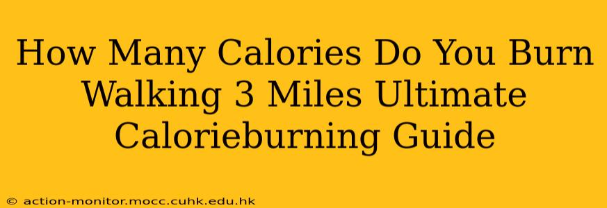 How Many Calories Do You Burn Walking 3 Miles Ultimate Calorieburning Guide