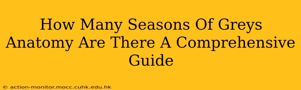How Many Seasons Of Greys Anatomy Are There A Comprehensive Guide