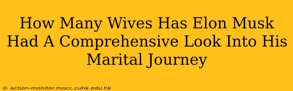 How Many Wives Has Elon Musk Had A Comprehensive Look Into His Marital Journey