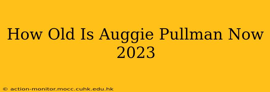 How Old Is Auggie Pullman Now 2023