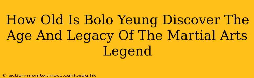 How Old Is Bolo Yeung Discover The Age And Legacy Of The Martial Arts Legend