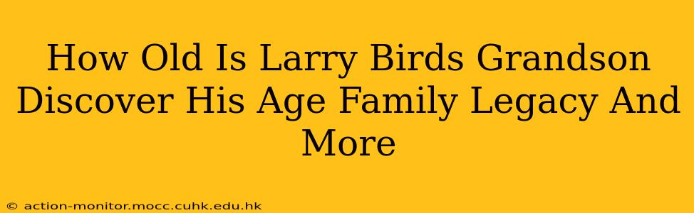 How Old Is Larry Birds Grandson Discover His Age Family Legacy And More