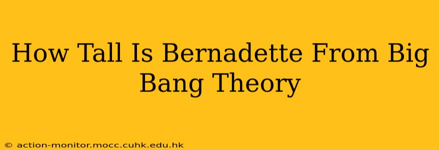 How Tall Is Bernadette From Big Bang Theory