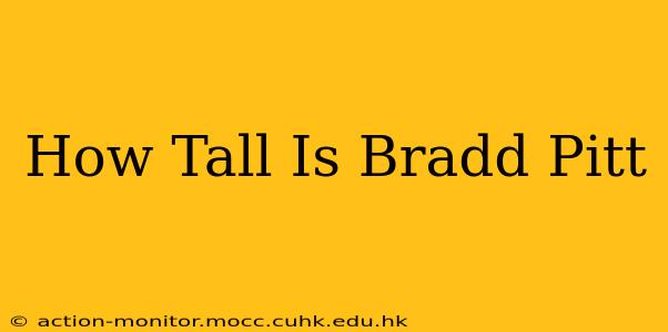 How Tall Is Bradd Pitt