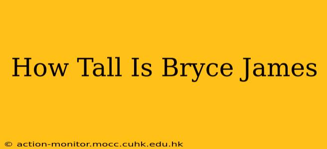 How Tall Is Bryce James