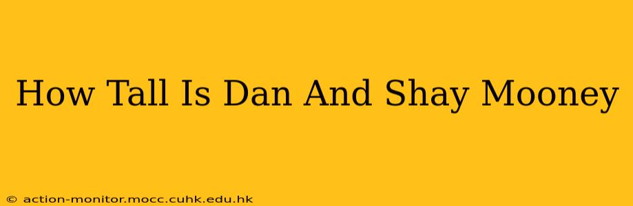 How Tall Is Dan And Shay Mooney