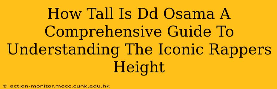 How Tall Is Dd Osama A Comprehensive Guide To Understanding The Iconic Rappers Height