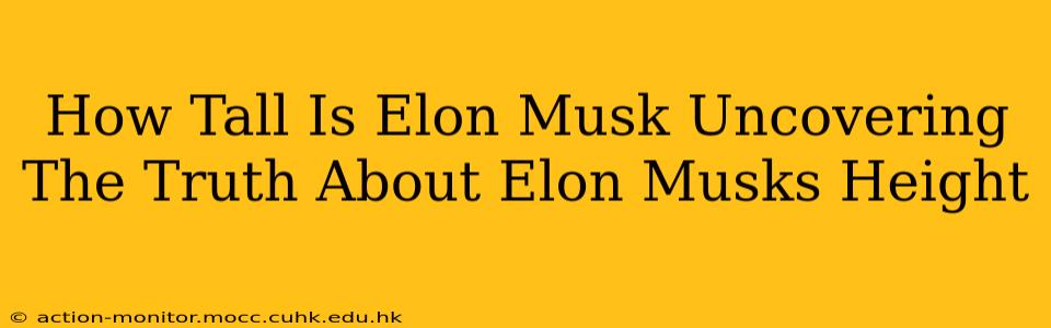 How Tall Is Elon Musk Uncovering The Truth About Elon Musks Height