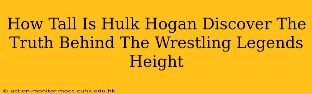 How Tall Is Hulk Hogan Discover The Truth Behind The Wrestling Legends Height