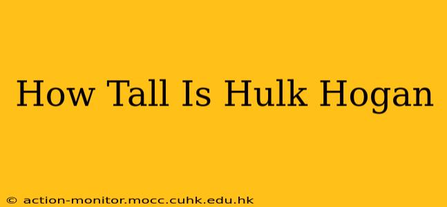 How Tall Is Hulk Hogan