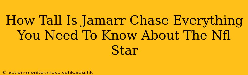 How Tall Is Jamarr Chase Everything You Need To Know About The Nfl Star