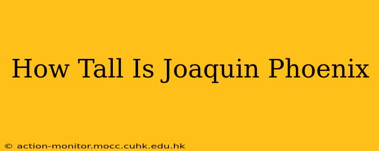 How Tall Is Joaquin Phoenix