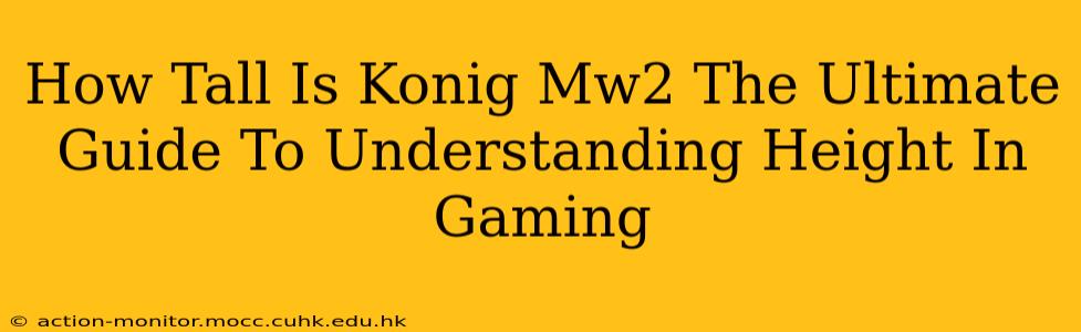 How Tall Is Konig Mw2 The Ultimate Guide To Understanding Height In Gaming