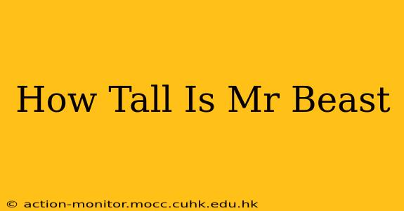 How Tall Is Mr Beast