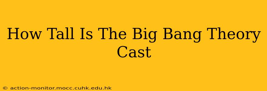 How Tall Is The Big Bang Theory Cast