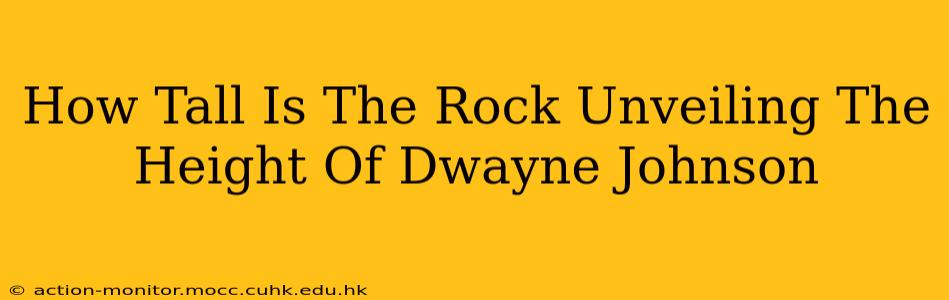 How Tall Is The Rock Unveiling The Height Of Dwayne Johnson