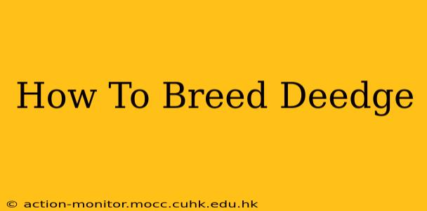 How To Breed Deedge
