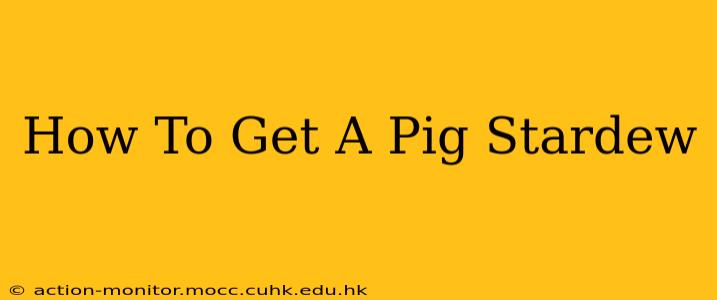 How To Get A Pig Stardew