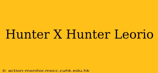 Hunter X Hunter Leorio