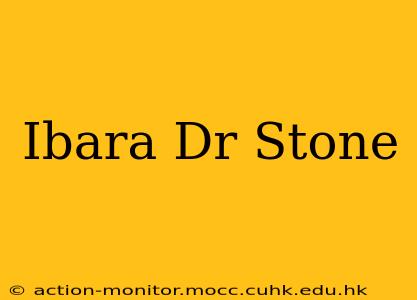 Ibara Dr Stone
