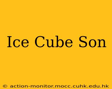 Ice Cube Son