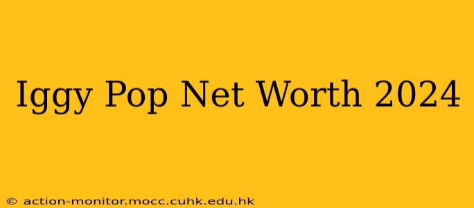 Iggy Pop Net Worth 2024