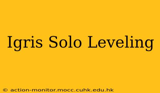 Igris Solo Leveling