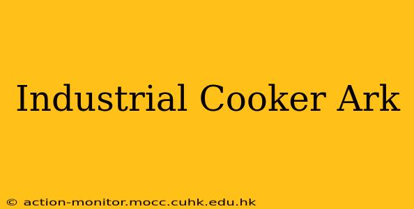 Industrial Cooker Ark