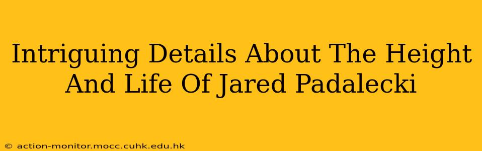 Intriguing Details About The Height And Life Of Jared Padalecki