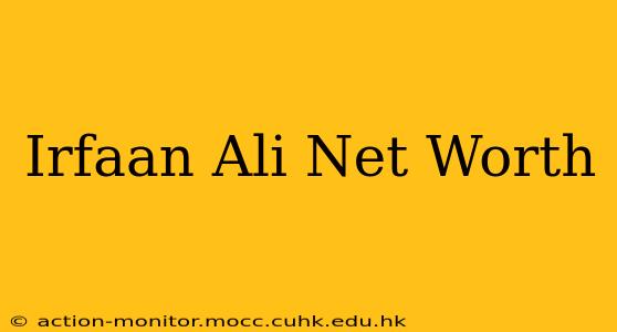 Irfaan Ali Net Worth