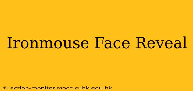 Ironmouse Face Reveal