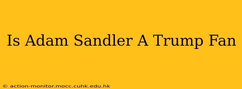 Is Adam Sandler A Trump Fan