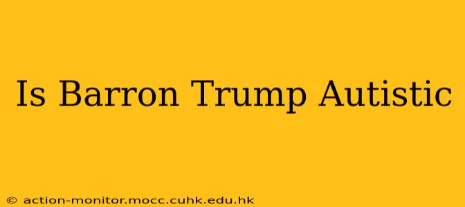 Is Barron Trump Autistic