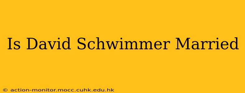 Is David Schwimmer Married