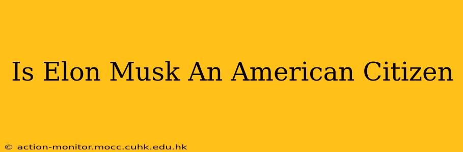 Is Elon Musk An American Citizen