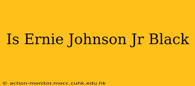 Is Ernie Johnson Jr Black