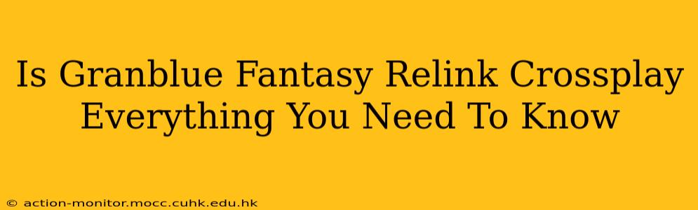 Is Granblue Fantasy Relink Crossplay Everything You Need To Know