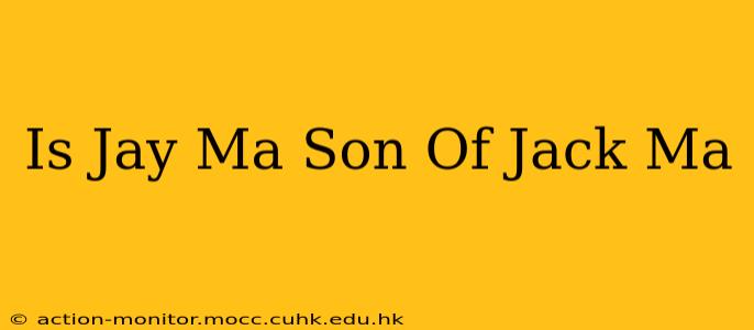 Is Jay Ma Son Of Jack Ma
