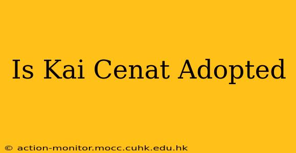 Is Kai Cenat Adopted