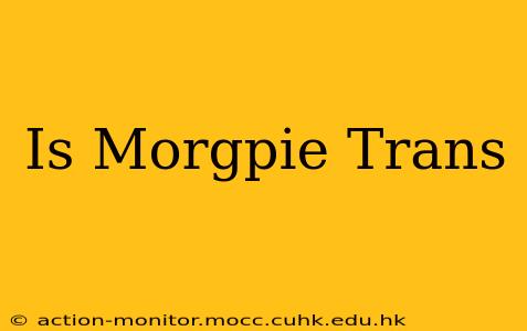Is Morgpie Trans