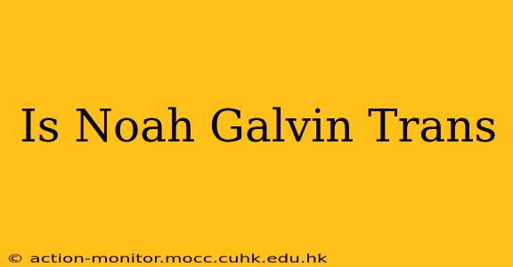 Is Noah Galvin Trans