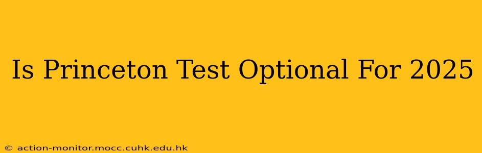 Is Princeton Test Optional For 2025