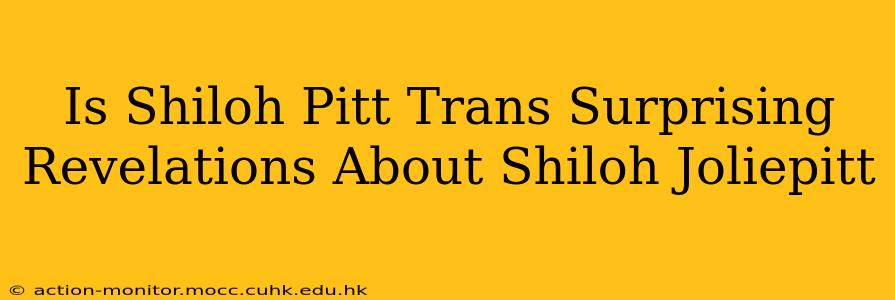 Is Shiloh Pitt Trans Surprising Revelations About Shiloh Joliepitt