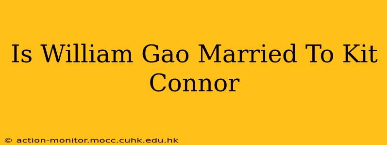 Is William Gao Married To Kit Connor