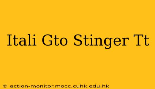 Itali Gto Stinger Tt