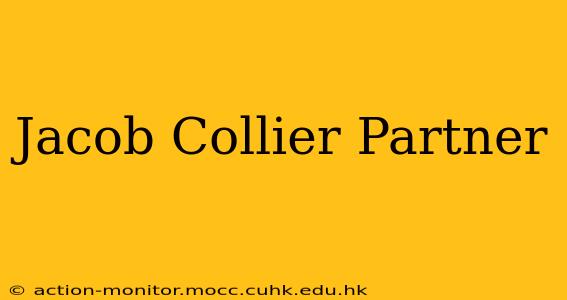 Jacob Collier Partner
