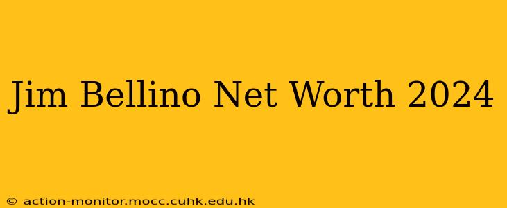 Jim Bellino Net Worth 2024