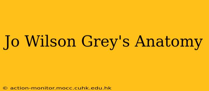 Jo Wilson Grey's Anatomy
