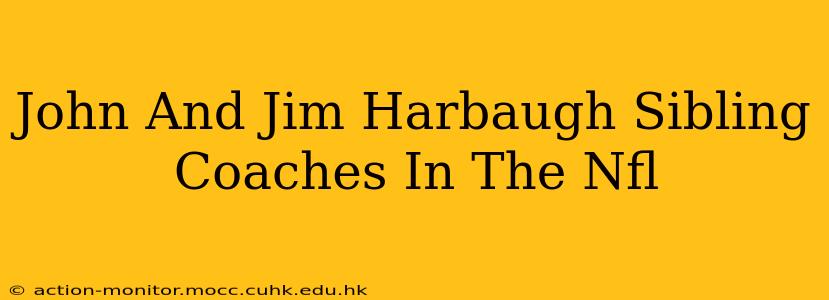 John And Jim Harbaugh Sibling Coaches In The Nfl